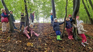 Dzień Drzewa w naszym przedszkolu🌳