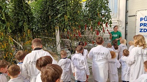 Farma Bezdínek  bez tajemnic